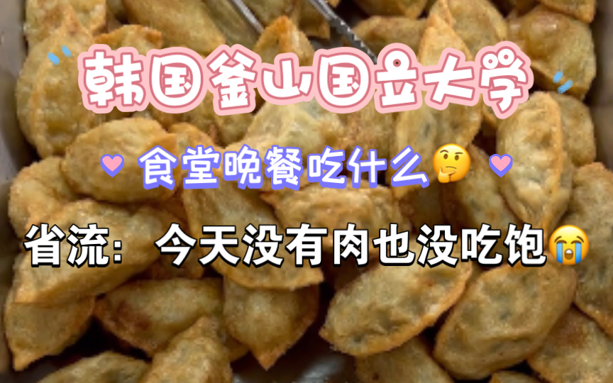 韩国釜山国立大学食堂.10 鱼饼汤面、炸饺子、甜玉米沙拉、苹果,可我真的没吃饱啊啊啊啊啊哔哩哔哩bilibili