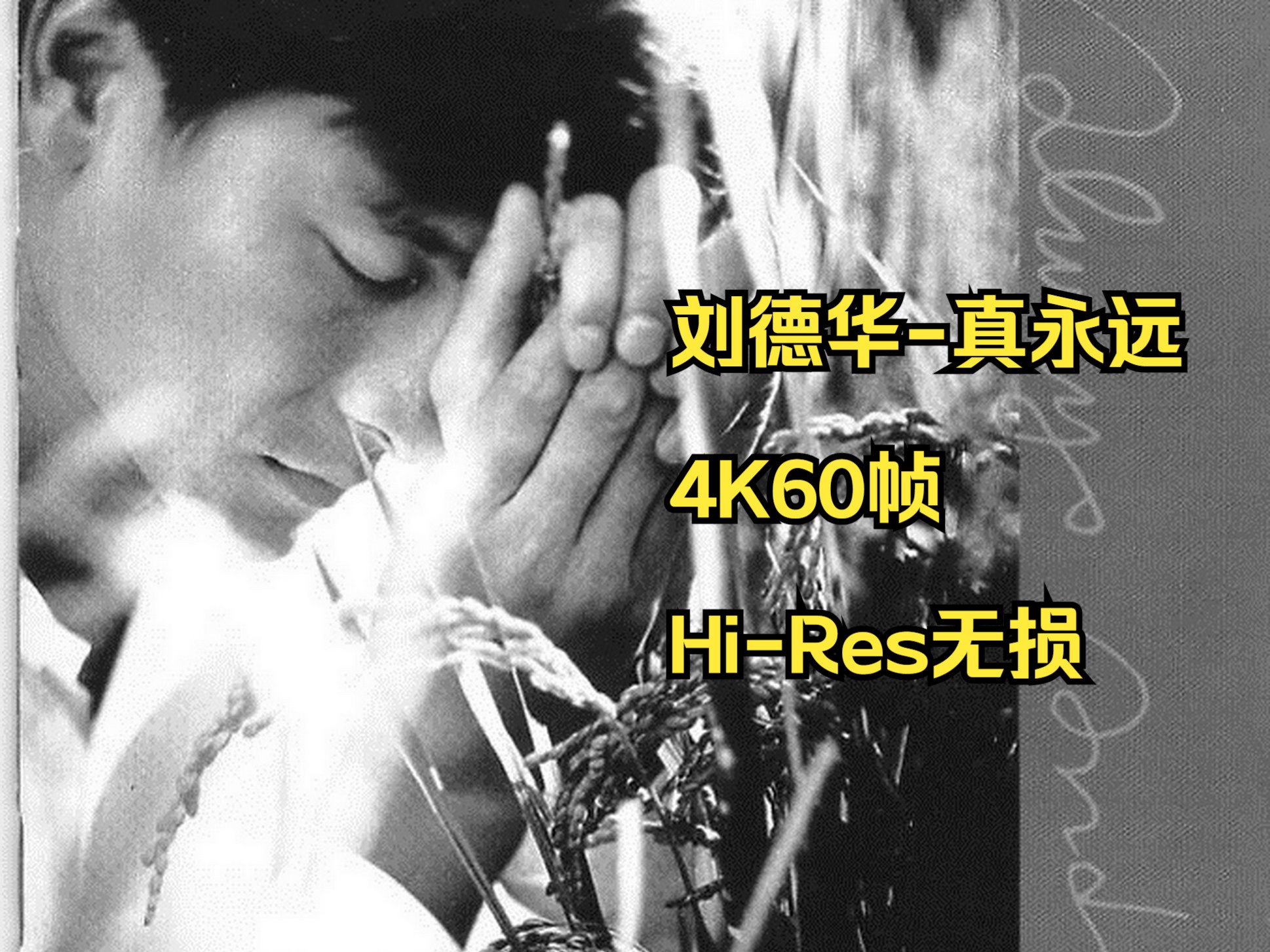 [图]刘德华1995真永远[香港首版][Hi-Res无损4K60帧]