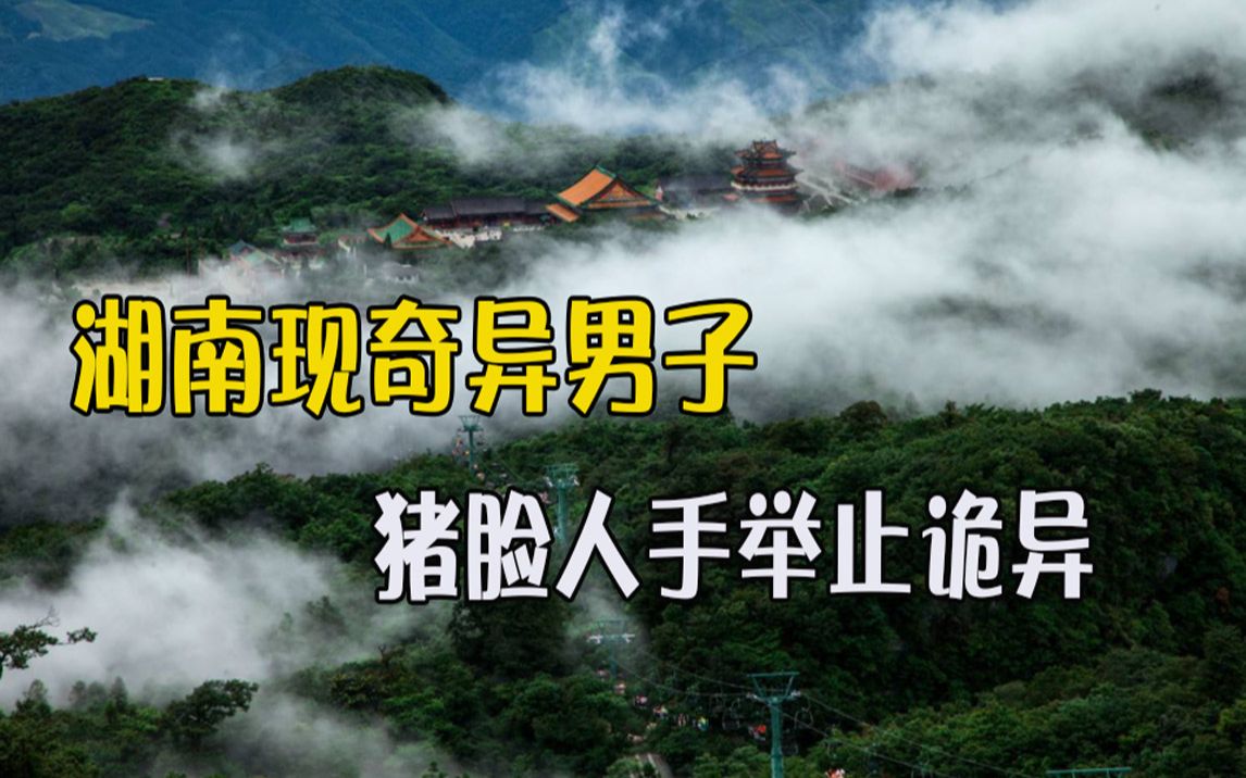湖南现奇异男子猪脸人手举止诡异难道是现实版的猪八戒