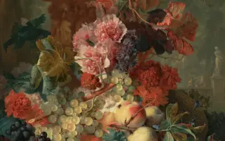 植物画家 搜索结果 哔哩哔哩弹幕视频网 つロ乾杯 Bilibili