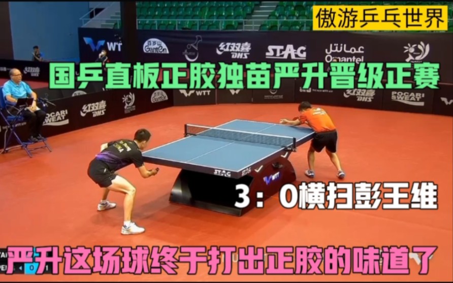 国乒直板正胶独苗严升,这场球打出正胶的味道了!3:0横扫彭王维_哔哩哔哩_bilibili
