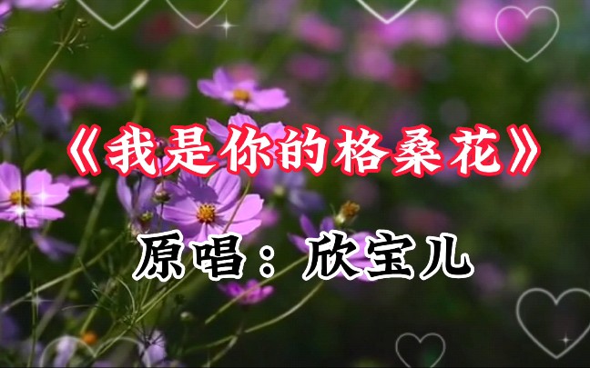 一首《我是你的格桑花》凄美感人,伤感好听哔哩哔哩bilibili