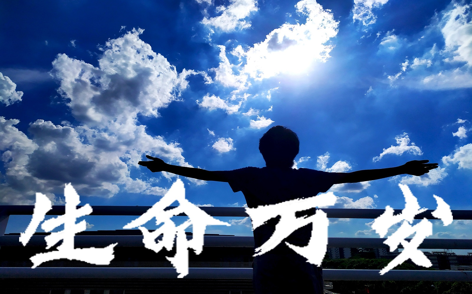 口琴vivalavida一人乐队生命万岁