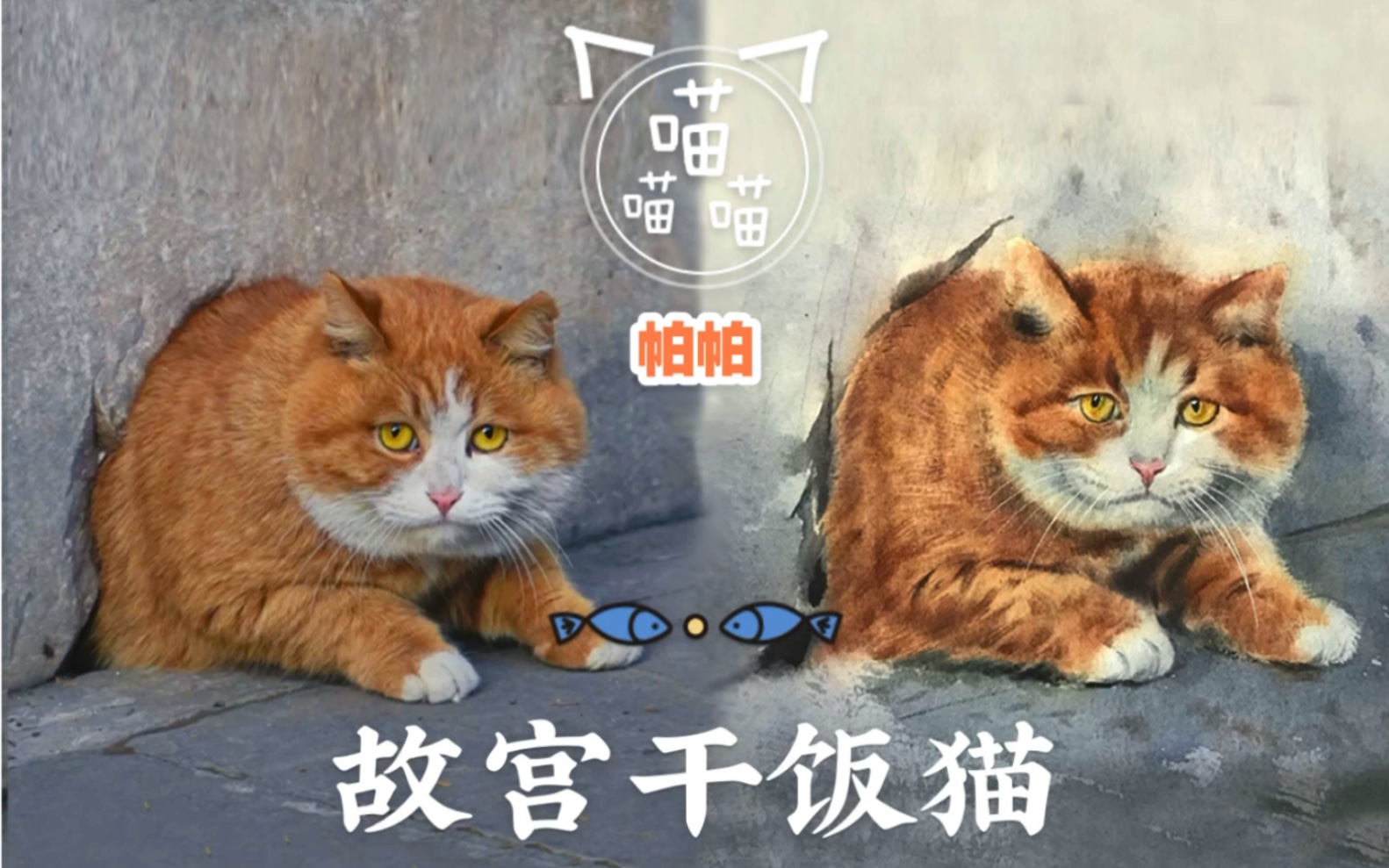 【水彩】干饭帝故宫猫帕帕1:1还原胖橘出洞翻车憨态手绘萌宠吸猫