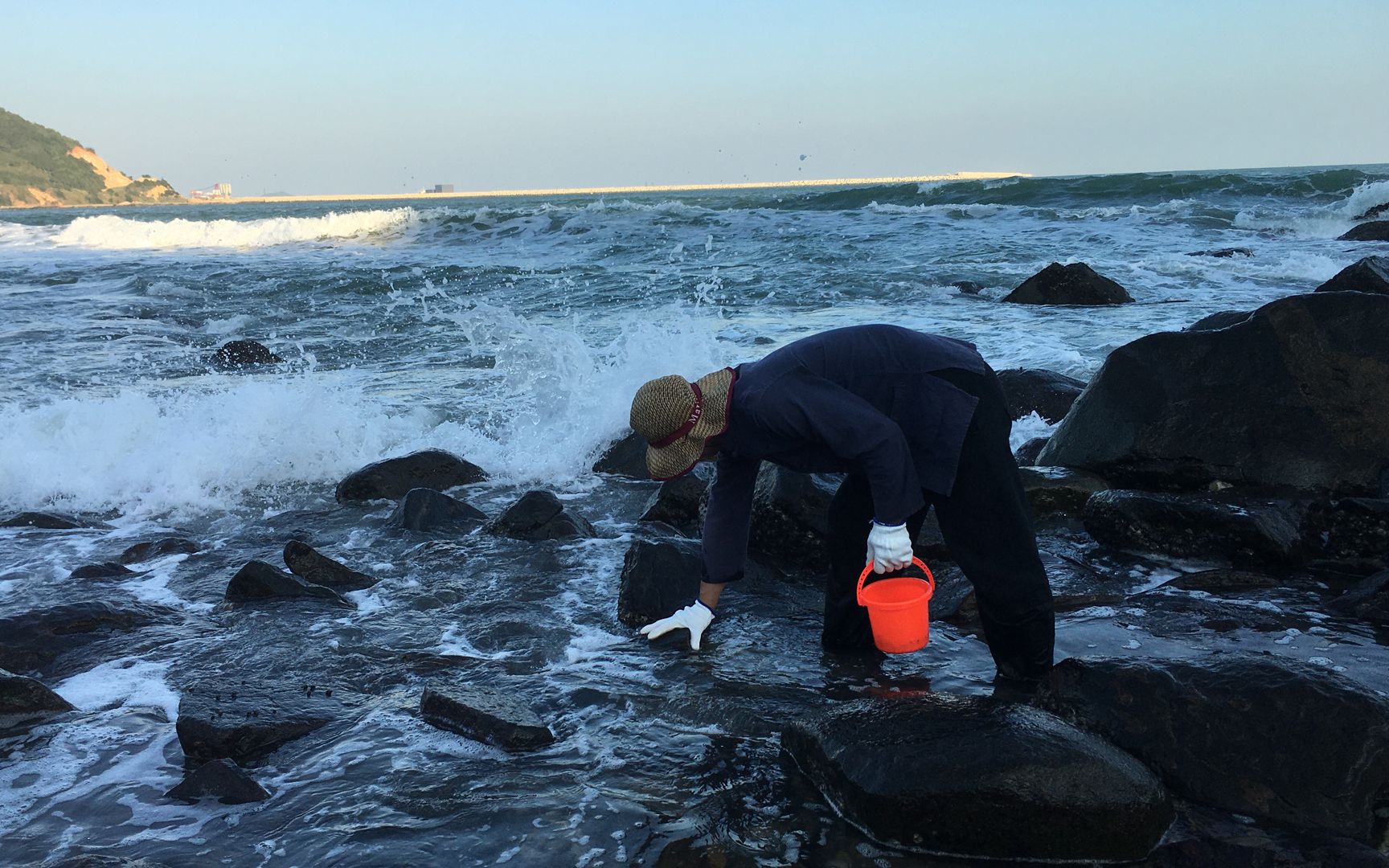 村大少带你去体验赶海生活,认识海螺的种类,还收获了不少靓海货_哔哩