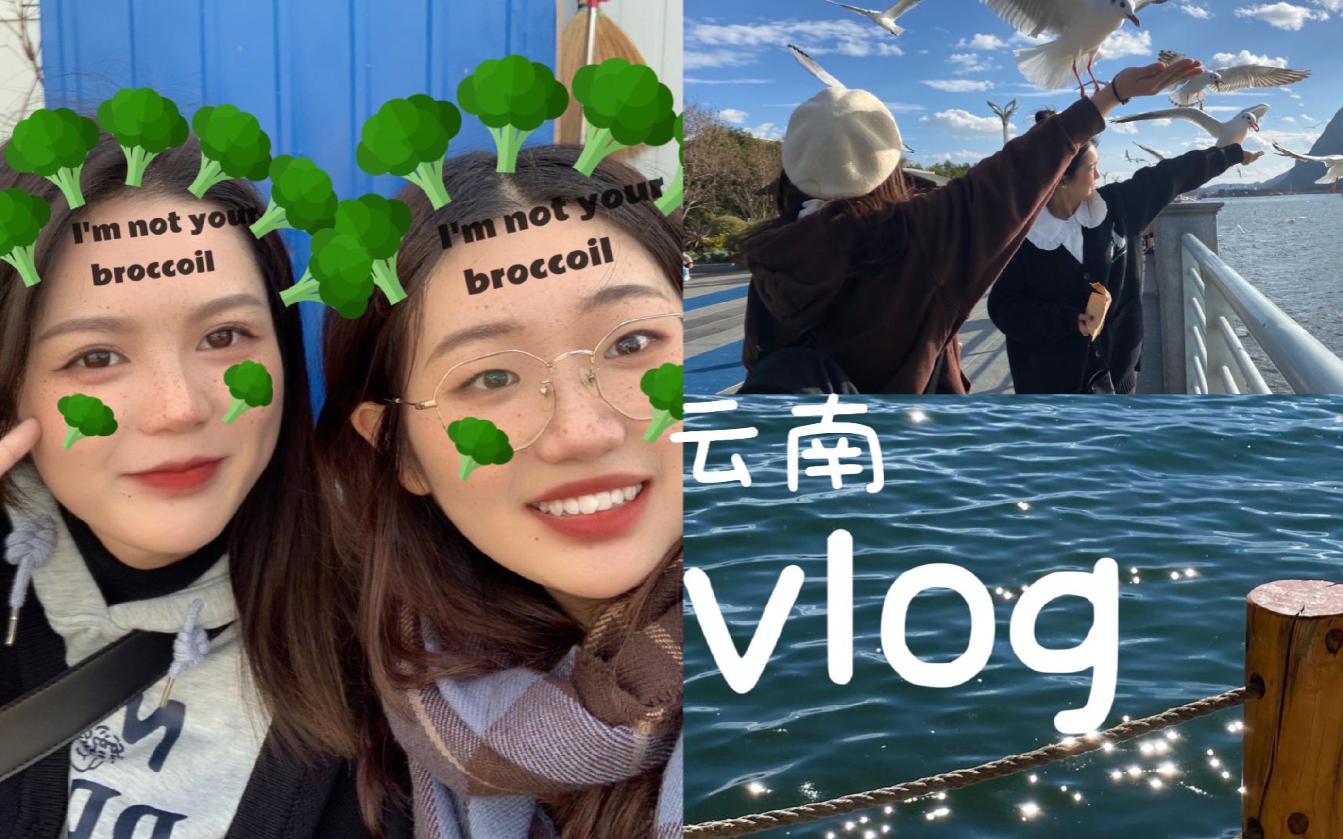 vlog#4|迟到很久的毕业旅行!云南旅游记(记流水账)|哔哩哔哩bilibili