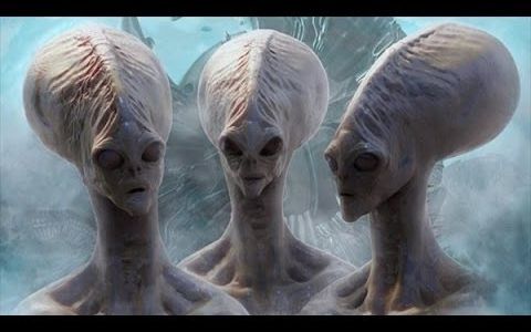 20 种nasa在火星拍摄到的神秘生物