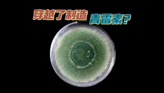 假如穿越了靠制造“青霉素”来救命？