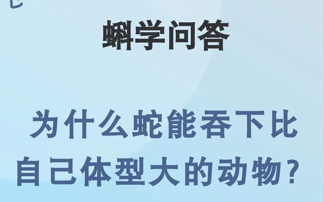 蝌学问答|为什么蛇能吞下比自己体型大的动物?哔哩哔哩bilibili