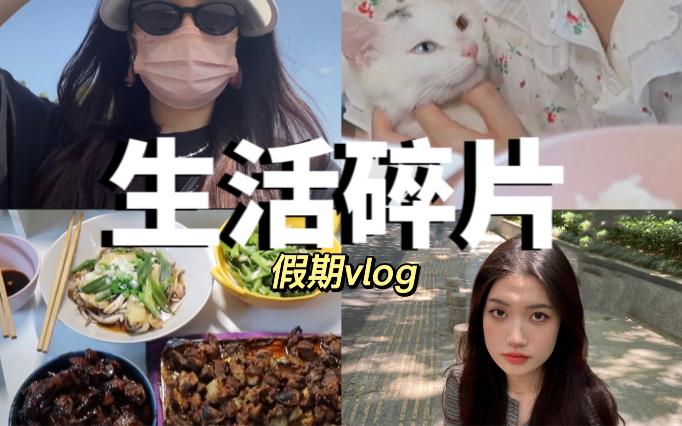 生活流水账/假期vlog 带二崽绝育 假期在家做饭看综艺 动物园游记 太开心啦 !哔哩哔哩bilibili