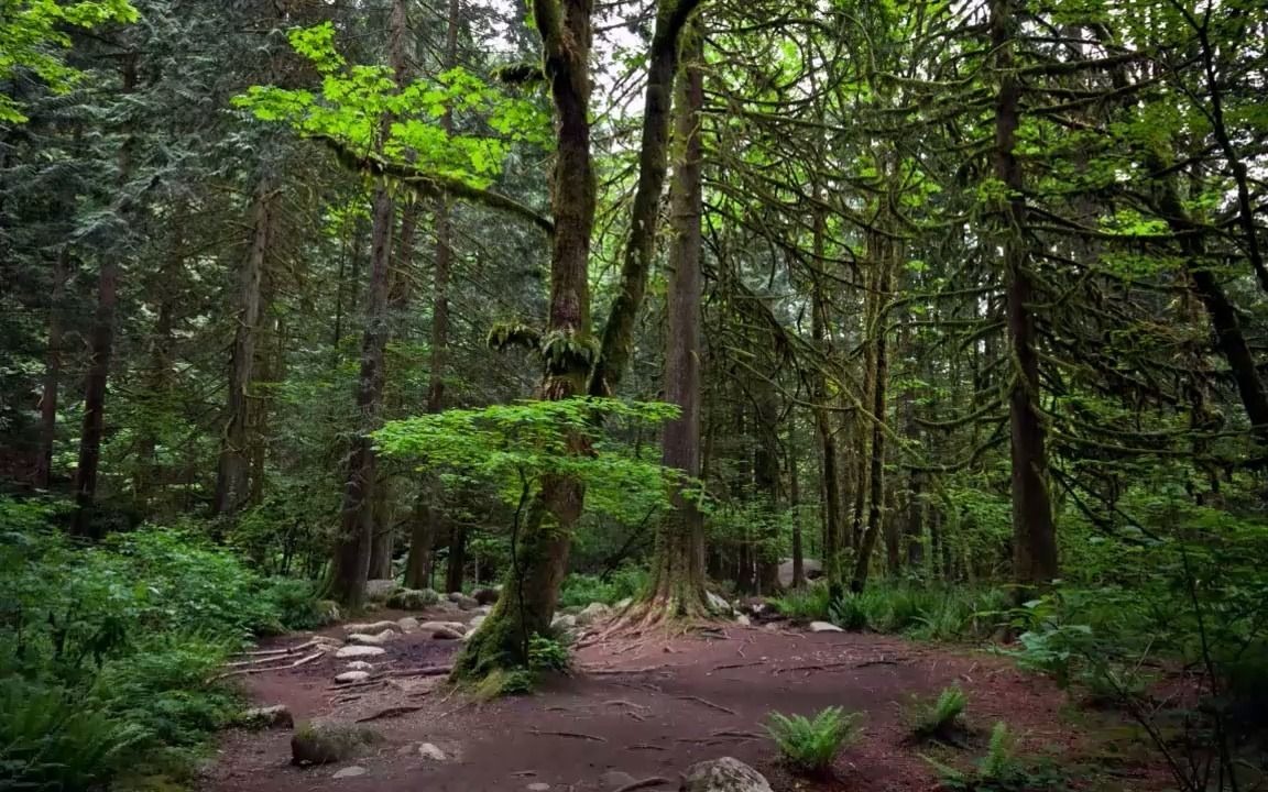 和派圆针治疗颈肩腰髋以及面瘫等疑难杂症综合班