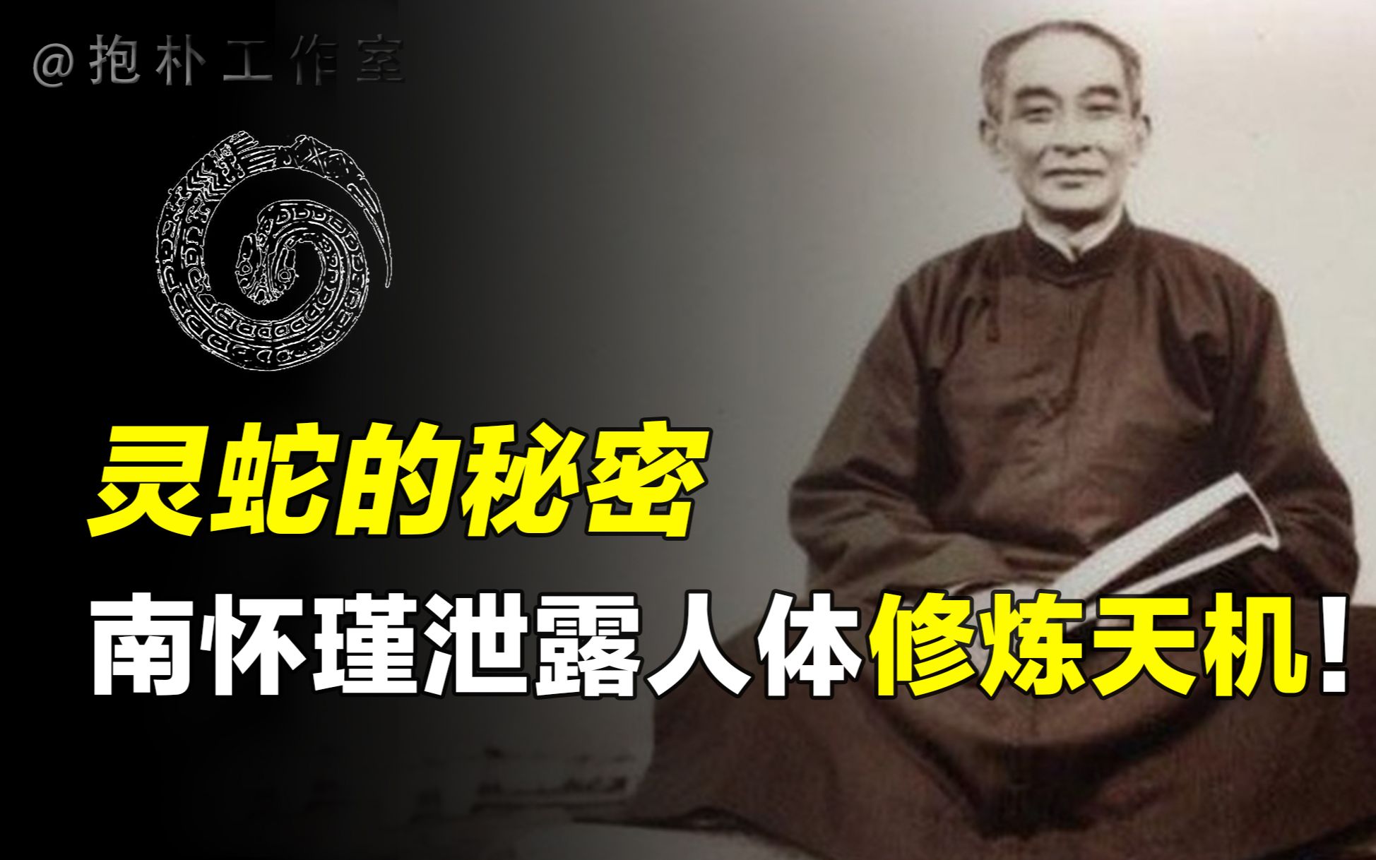 南怀瑾:每个人体内都有一条沉睡的蛇?激活它就能成功开悟!哔哩哔哩bilibili