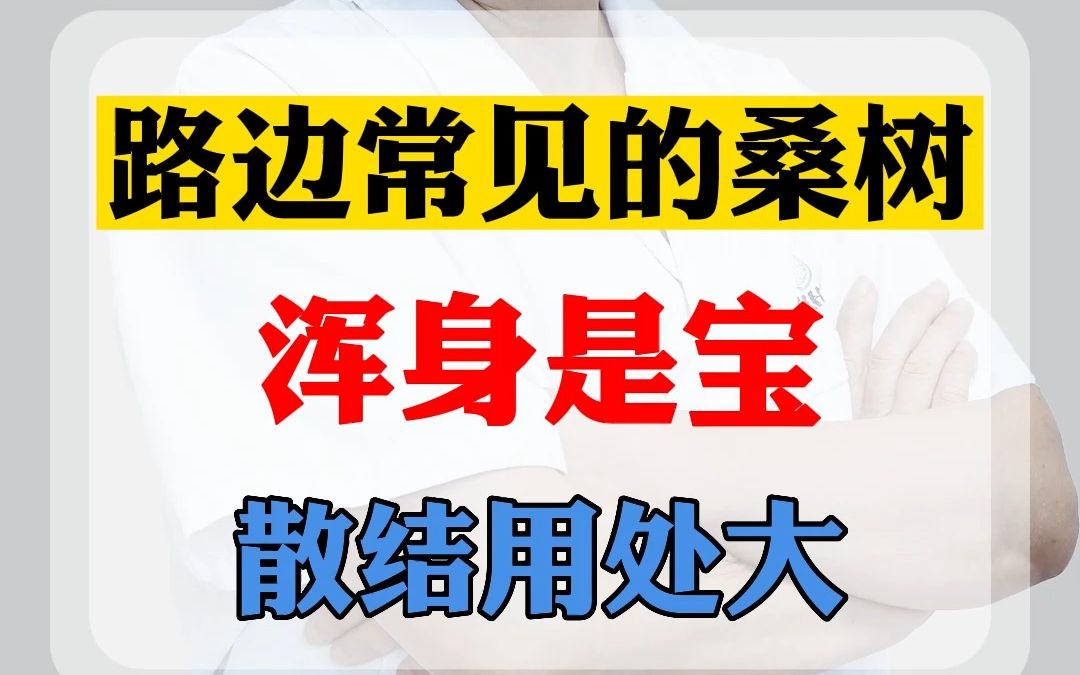 路边常见的桑树浑身是宝,散结用处大.分享散结小妙招,不看是你的损失哔哩哔哩bilibili