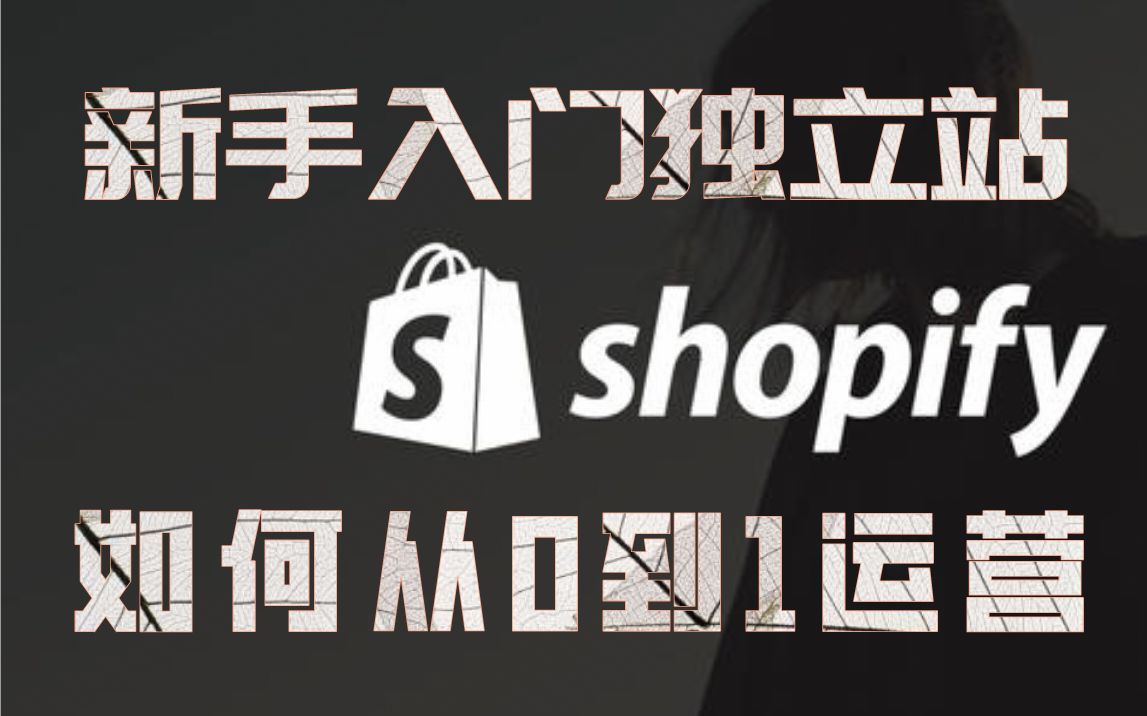 【新手入门】shopify运营玩法.shopify与亚马逊有什么区别?哔哩哔哩bilibili