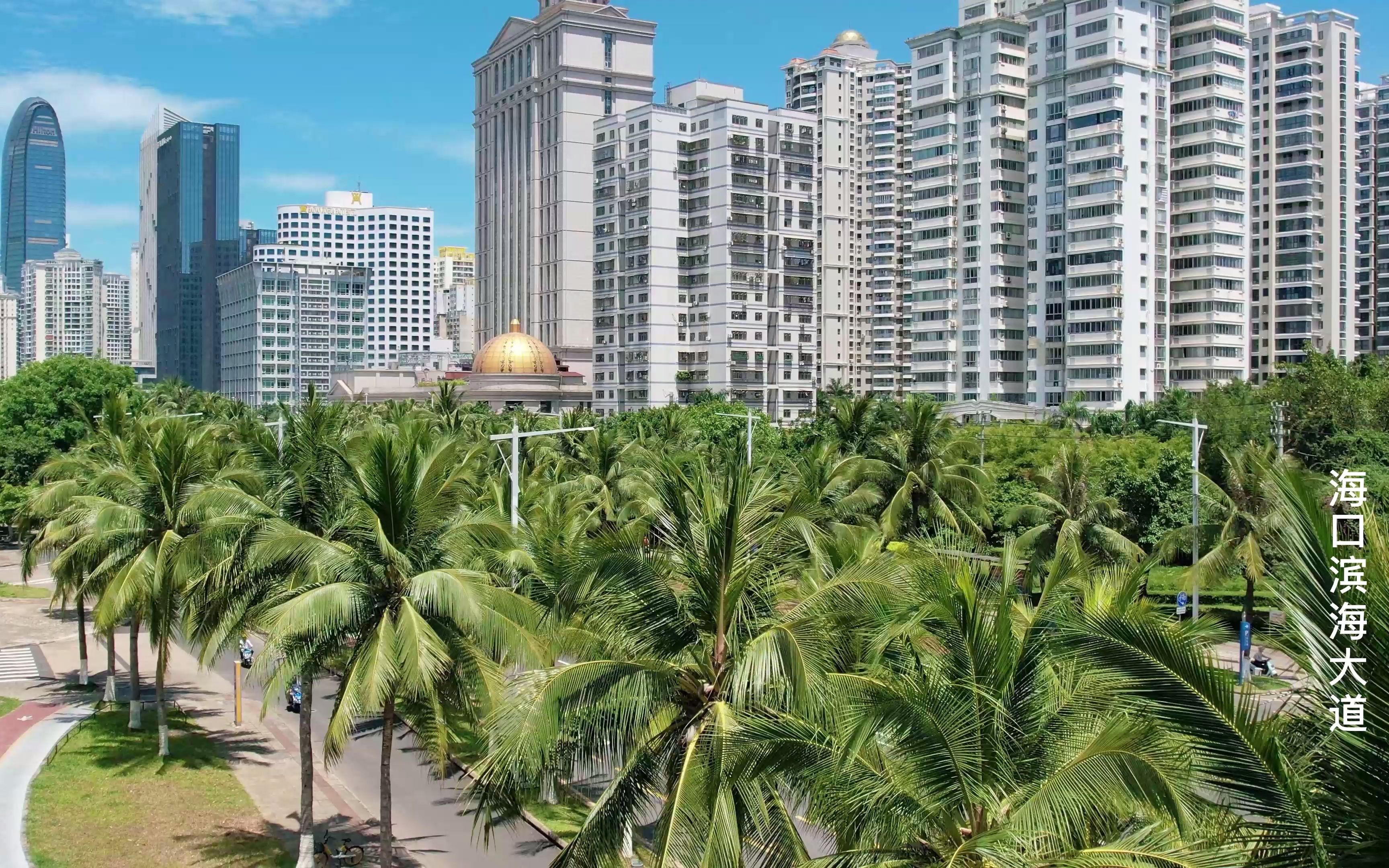 [图]海口城市滨海大道万绿园一段最美的风景