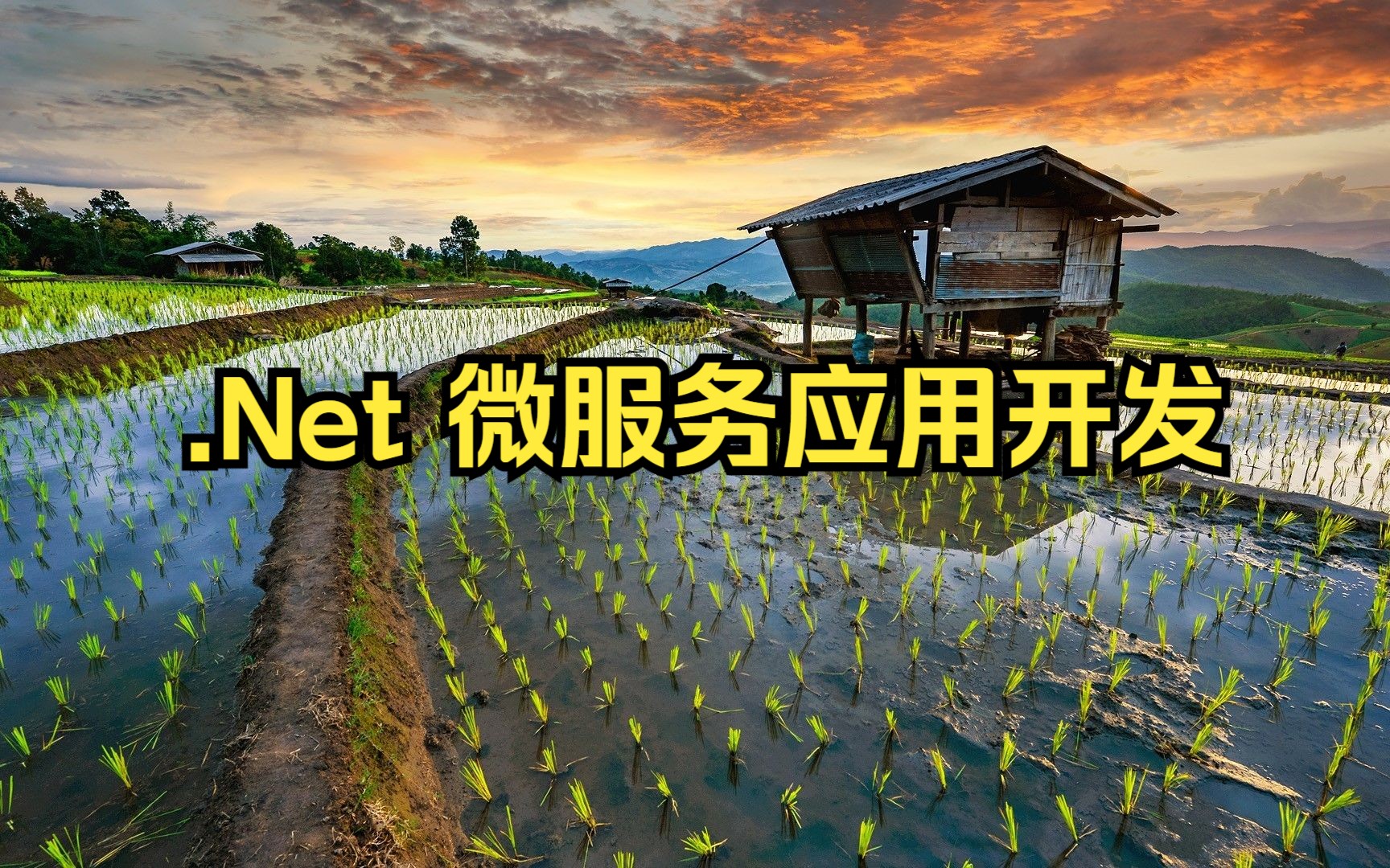 .Net 微服务应用开发 T2哔哩哔哩bilibili