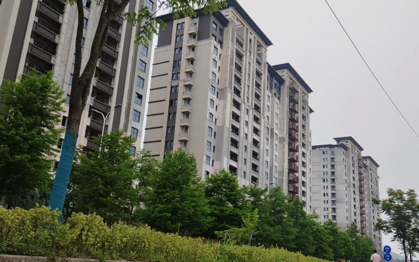 记录上海的样子,长兴镇,大城小院小区,长橘路,2023.06.16