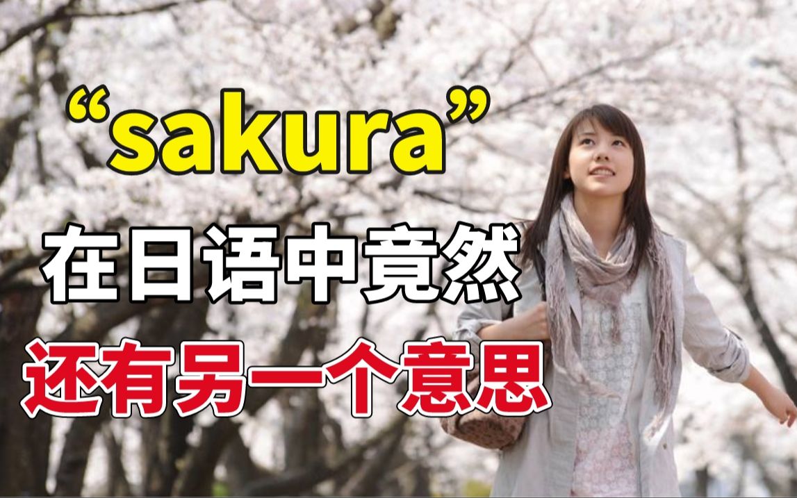 sakura在日语中不只有樱花的意思哦.另外一个常用的意思,你知道吗?哔哩哔哩bilibili