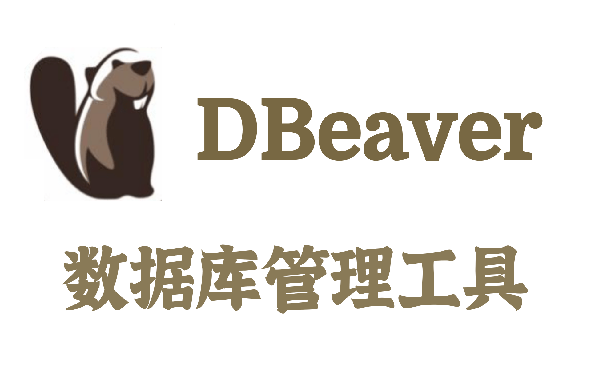 DBeaver教程 — 通用的数据库管理工具和 SQL 客户端,MySQL, PostgreSQL, Oracle, DB2, MSSQL, Sybase哔哩哔哩bilibili