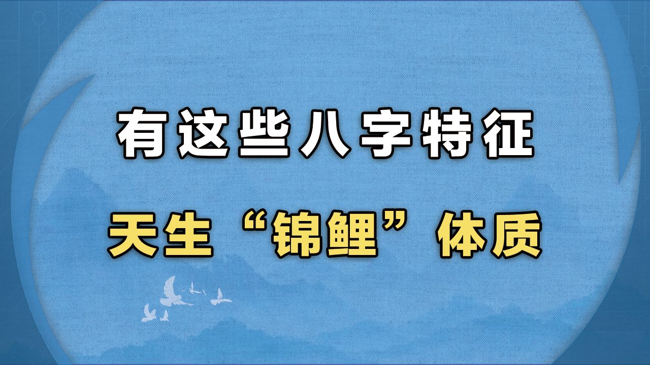 有这些八字特征的天生“锦鲤”体质哔哩哔哩bilibili