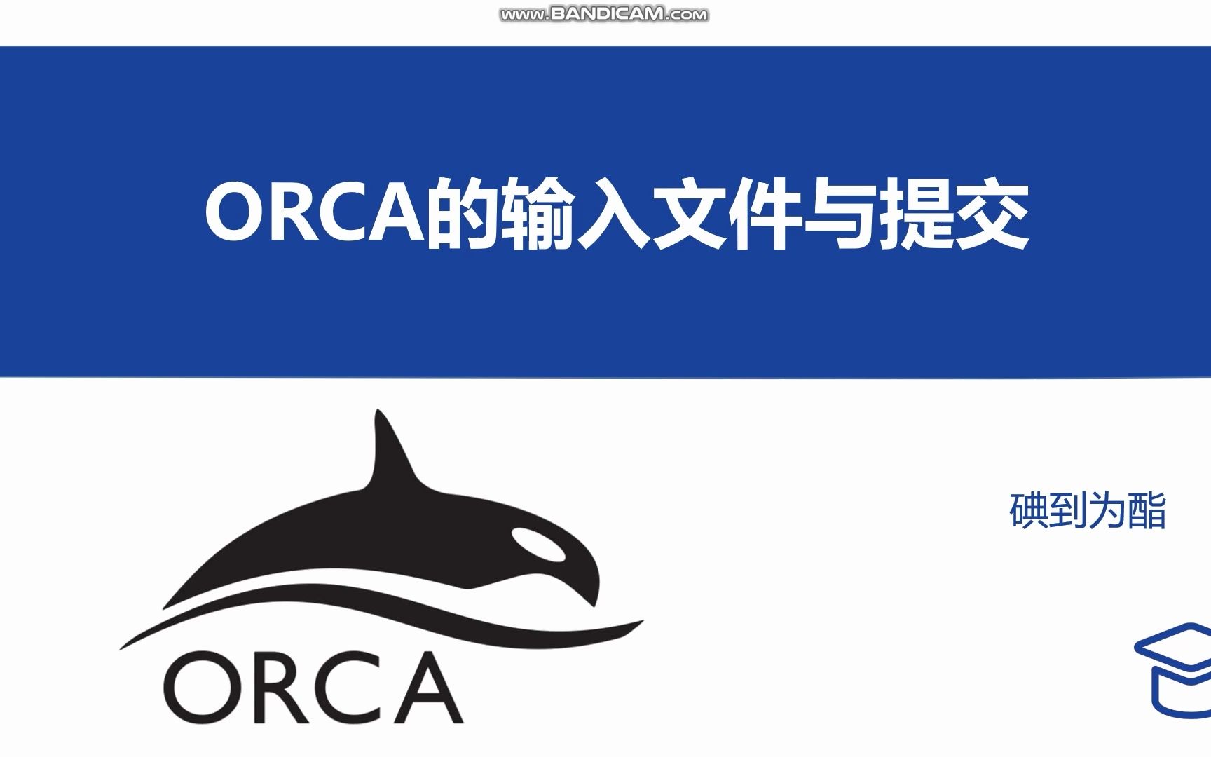 免费的量化软件:ORCA | 基础教程哔哩哔哩bilibili