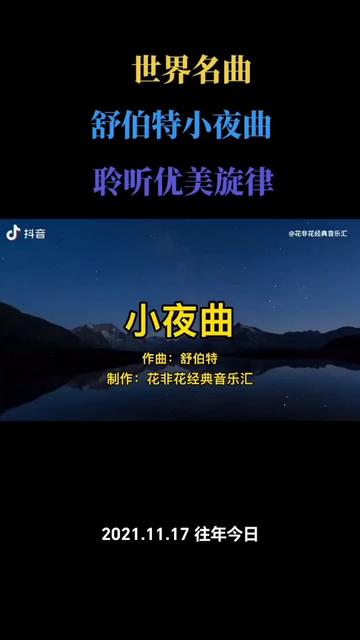 爱音乐爱生活#世界名曲欣赏#舒伯特小夜曲