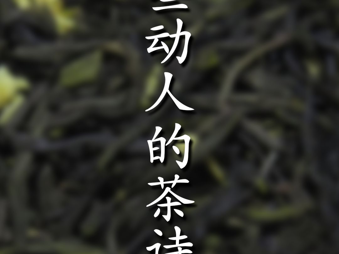 动人的茶诗(二)哔哩哔哩bilibili