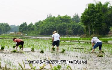 [图]中商小双桥遗址简介