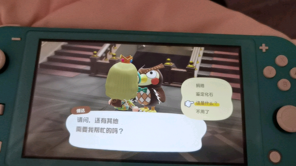 switch动森实况:上岛第12天,博物馆捐赠之兰寿金鱼解说