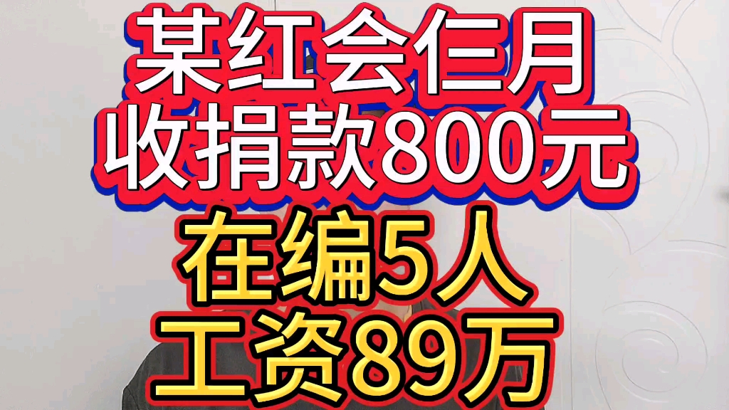 盘龙区红会3个月收捐款800元,在编5人工资89万哔哩哔哩bilibili