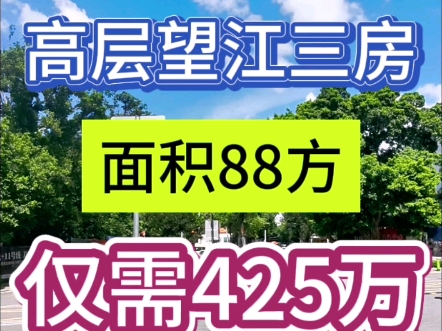 广州二手房出售:星汇海珠湾 高层望江三房 仅需425万哔哩哔哩bilibili