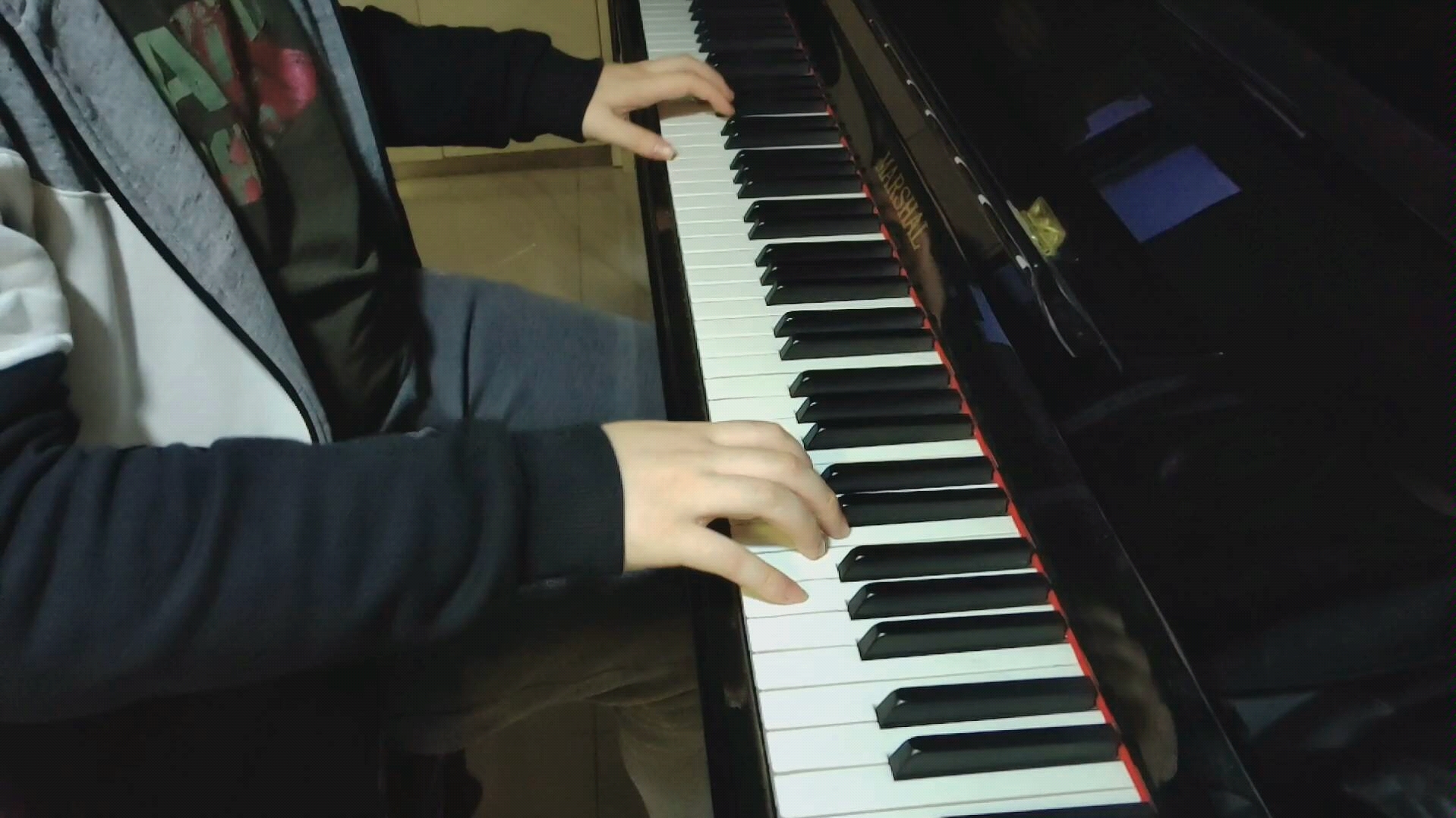 钢琴凹凸世界第三季opdothefight龙丸原创