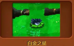 Download Video: 新植物：白金之星