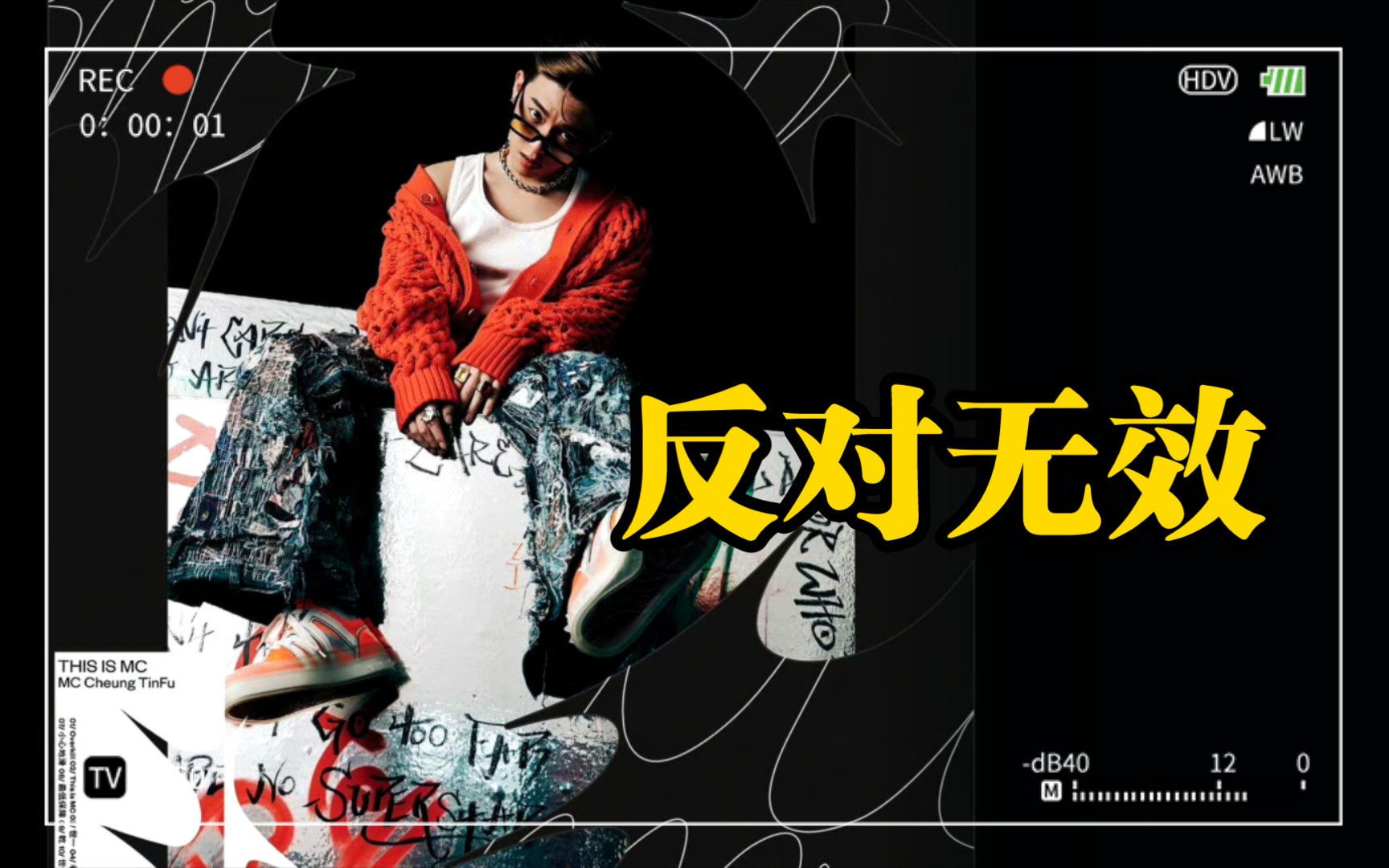 【日推歌单】mc 张天赋《反对无效》//歌词字幕版