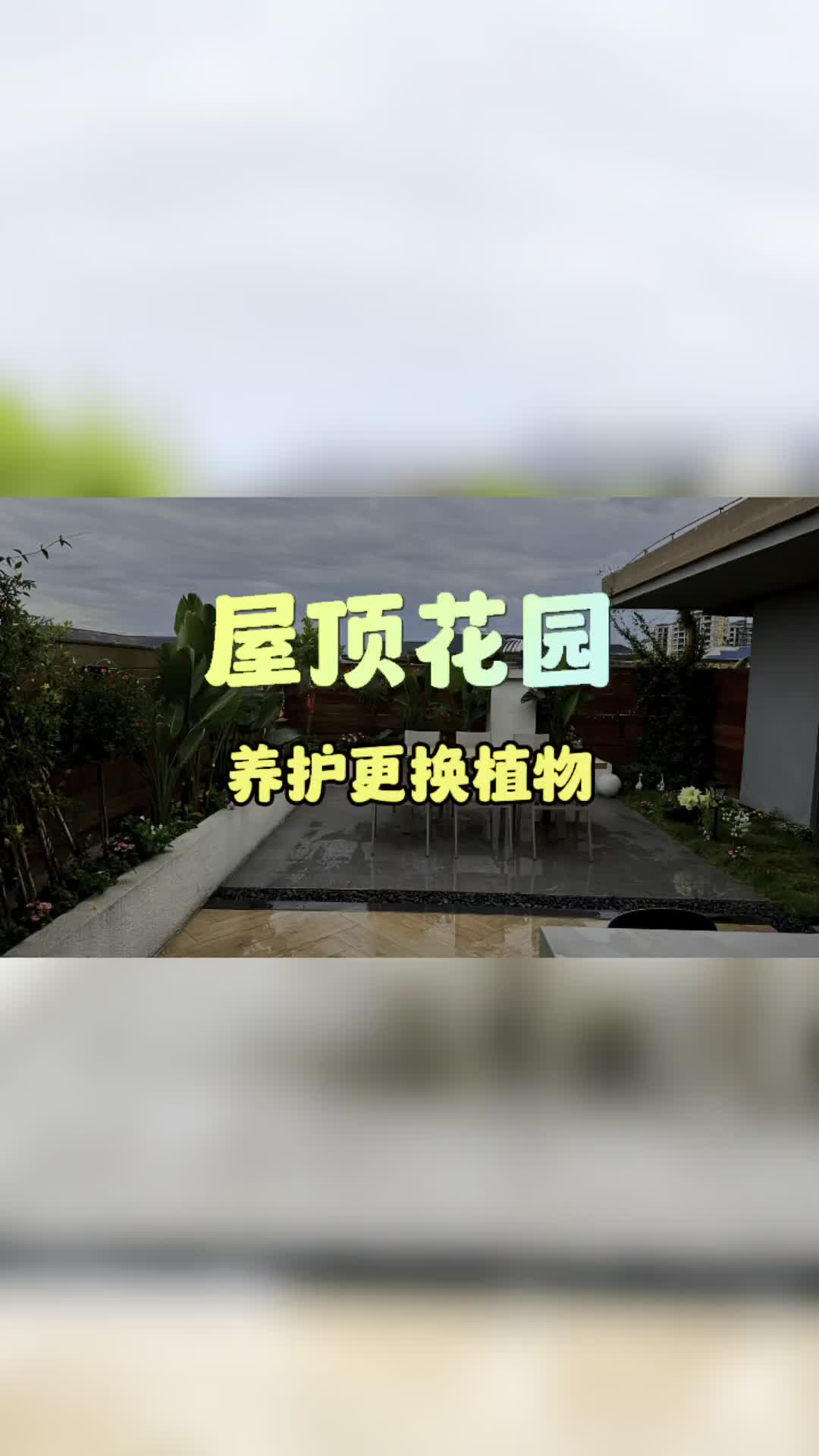 屋顶花园养护更换植物哔哩哔哩bilibili