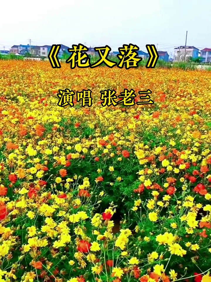 老三唱老歌花又落完整版音画欣赏听歌赏花愉悦心情