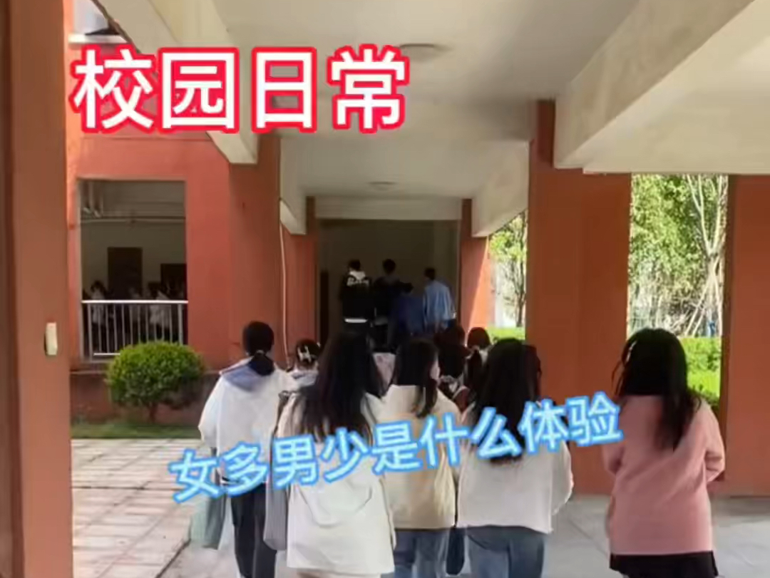 在学校女生比男生多能找到对象吗哔哩哔哩bilibili