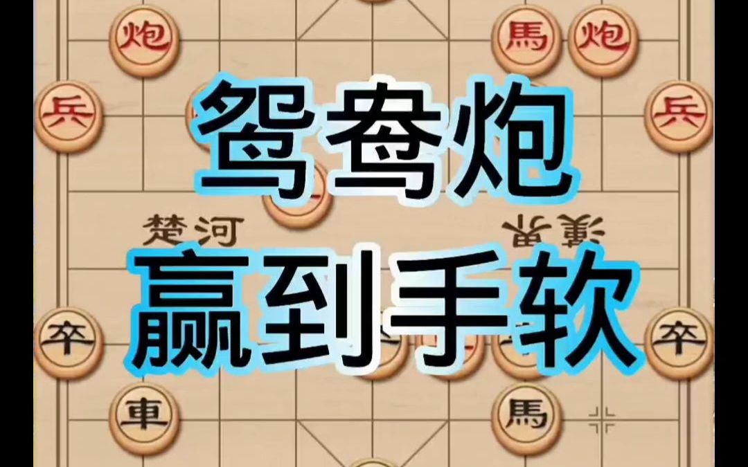 153这种鸳鸯炮太厉害了!