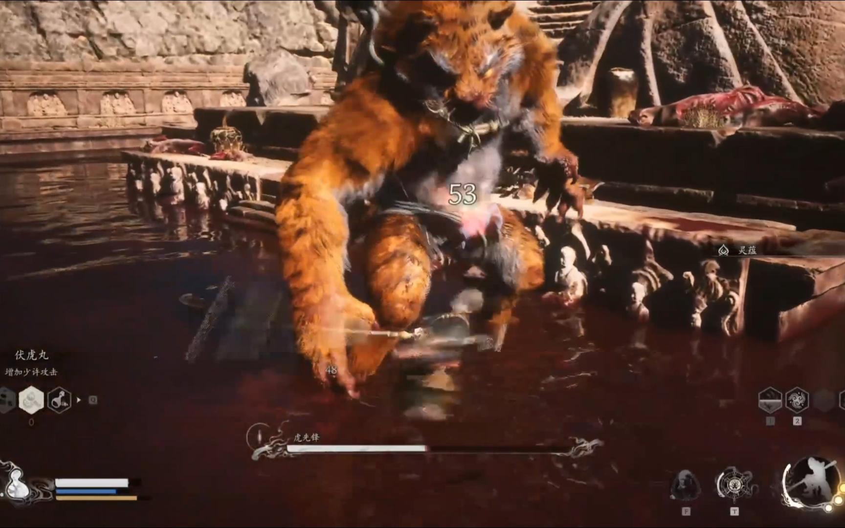 虎先锋(小猫你可以吃猴头)