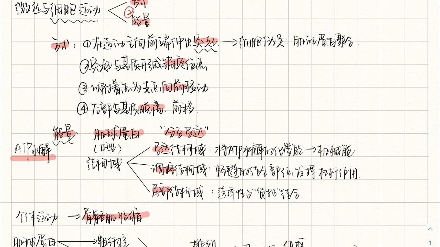 [图]【细胞生物学】“不许告诉我你看完以后只记住了鬼笔环肽！”||4分钟带你学会微丝与细胞运动！