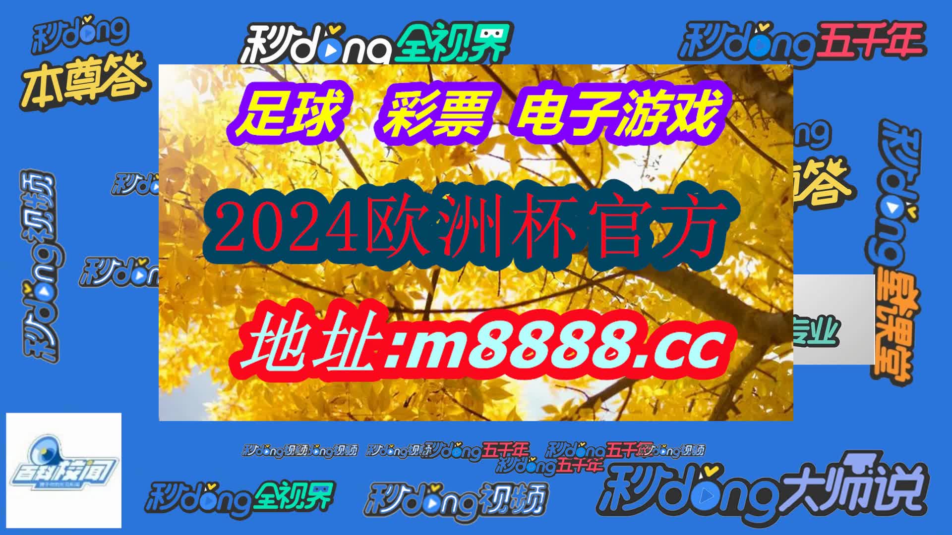天齐网首页正版保真(哔哩哔哩)064期