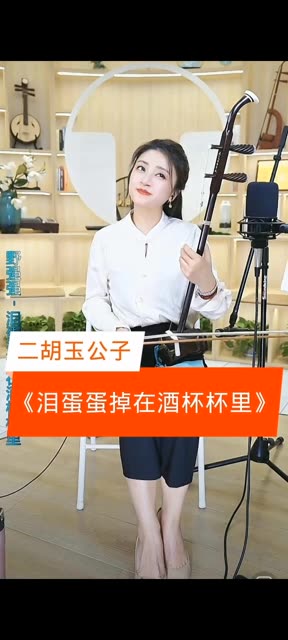 《泪蛋蛋掉在酒杯杯里》