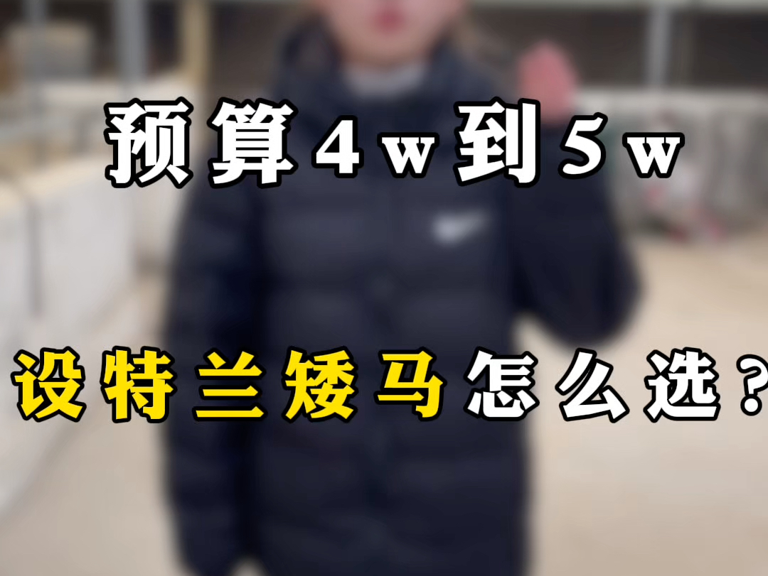 预算4w到5w 设特兰矮马怎么选?#设特兰矮马#萌宠#动物批发市场#萌宠乐园设计哔哩哔哩bilibili