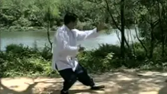 全网最详细的杨式太极拳85式教学杨大卫主讲 7小时47分的 哔哩哔哩 Bilibili