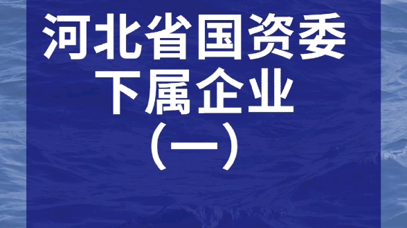 河北省国资委下属企业有哪几家?河北省建投,河北省交投,河北建工集团,河北地矿集团,河北省地信集团,河北高速公路集团,冀中能源集团.想去的可...