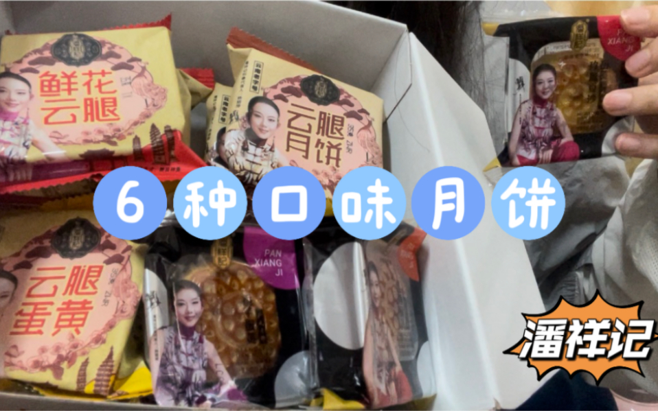 潘祥记六种口味的月饼,云腿蛋黄月饼,豆沙蛋黄月饼,无广测评哔哩哔哩bilibili