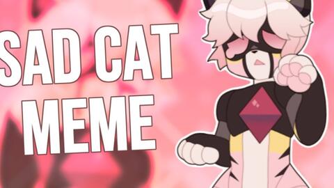 SAD CAT DANCE // ANIMATION MEME_哔哩哔哩_bilibili