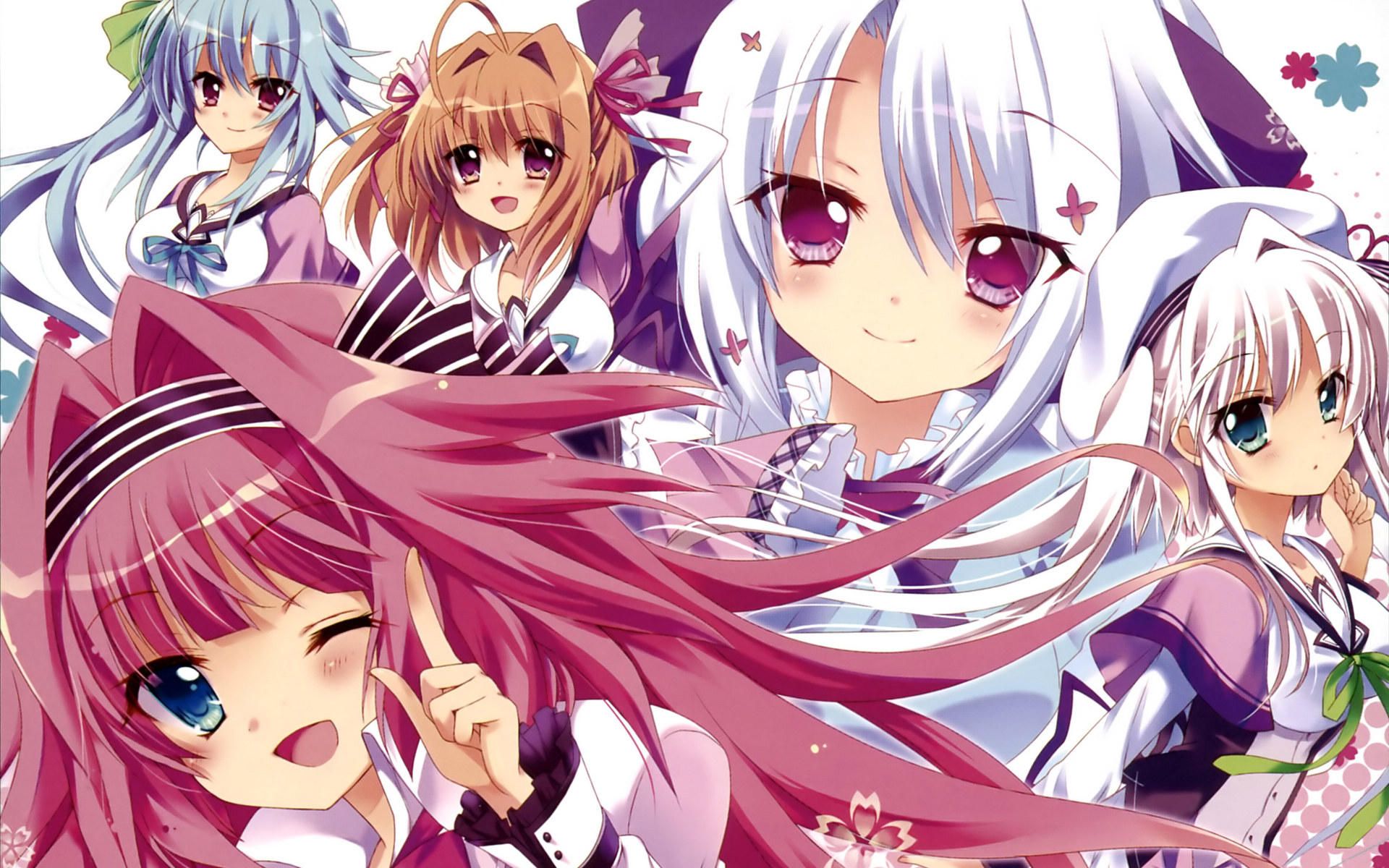 恋花绽放樱飞时op2distance