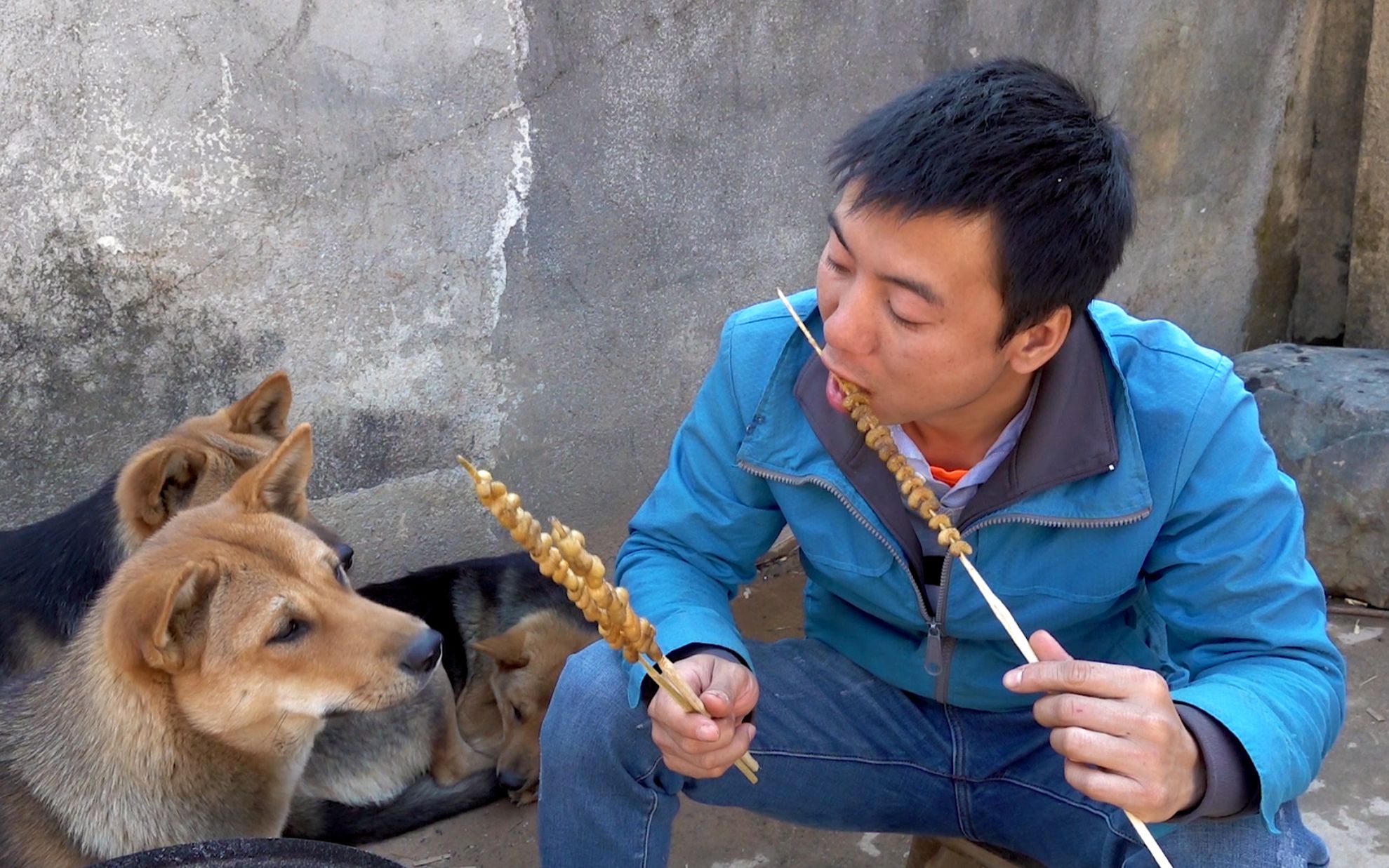 华农兄弟又到了吃虫子的季节放点孜然烤一烤又香又脆很美味哦