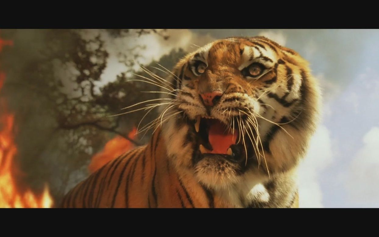 《虎兄虎弟》:浴火重生